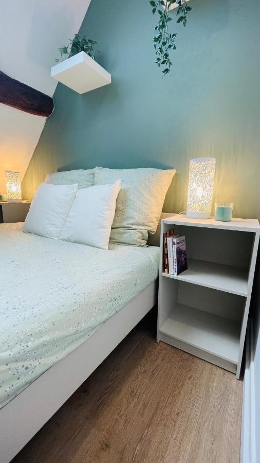 Le Champs Des Oiseaux Apartment Руан Екстериор снимка